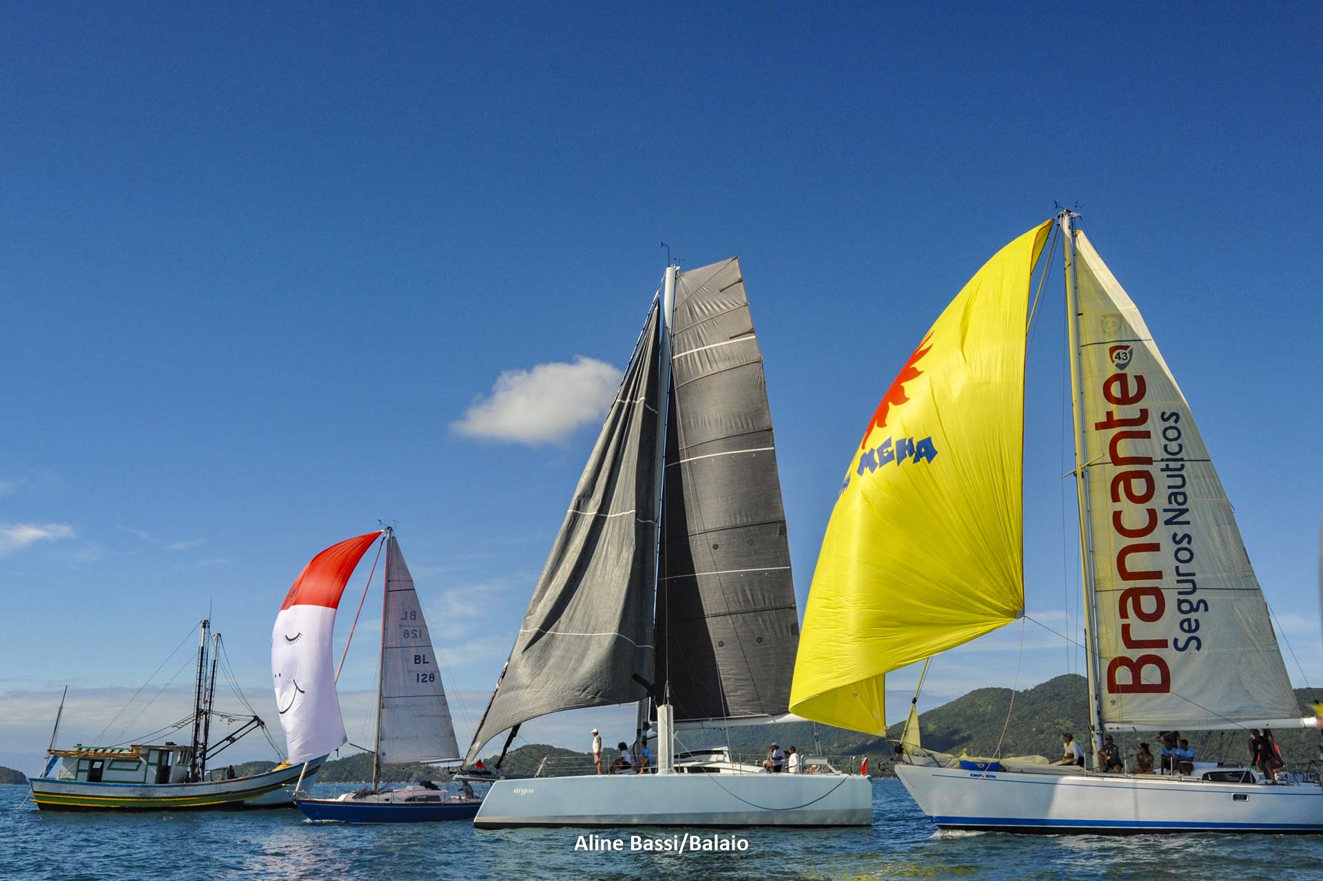 sailing2104-1DS_0297-378